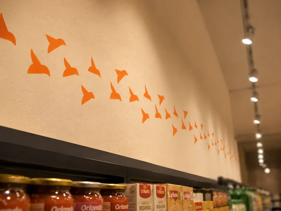 Pared de la tienda con la bandada de pájaros de Alado sobre los lineales